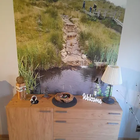 Apartment Ferienwohnung Ruesing